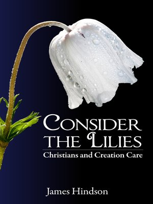 cover image of Consider the Lilies